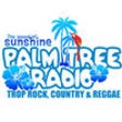 Palm Tree Radio icon