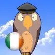 Icon of program: Feather Squadron: Ireland