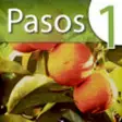Icon of program: Learn Spanish Lab: Pasos …