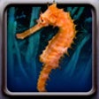 Icon of program: Sea Creatures!