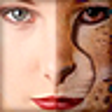 Icon of program: Abrosoft FantaMorph