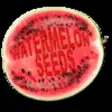 Icon of program: Watermelon Seeds