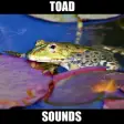 Icon of program: Toad Sounds