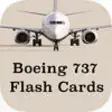 Icon of program: Boeing 737-400/800 Limita…