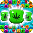 Icon of program: Weed Crush - match ganja …