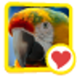 Icon of program: 600 Words