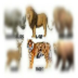 Icon of program: Mitupo App