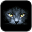 Icon of program: Black Cats Live Wallpaper