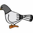 Icon of program: Pidgeon