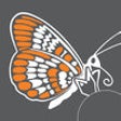 Icon of program: NEB Tools