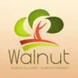 Icon of program: City Of Walnut