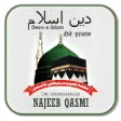 Icon of program: Deen e Islam