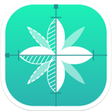 Icon of program: RulerApp