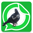 Icon of program: Pigeon With Hands sticker…