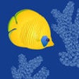 Icon of program: ReefDoser