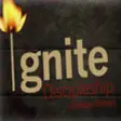 Icon of program: Ignite Database