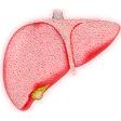 Icono de programa: Fatty Liver Exercise Trea…