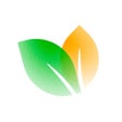 Icon of program: Wellify - Simplify Wellne…