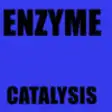 Icon of program: EnzymeQA