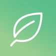 Icono de programa: Incaberry