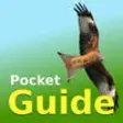 Icon of program: Pocket Guide UK Birds of …