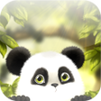 Icono de programa: Panda Chub Live Wallpaper