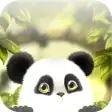 Icon of program: Panda Chub Live Wallpaper