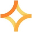 Icon of program: RizePoint Mobile Auditor