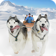 Icon of program: Snow Dog Sledding Transpo…