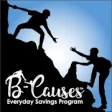 Icon of program: B-causes