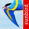 Icon of program: All Birds Sweden - A Comp…