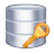 Icon of program: Daossoft SQL Password Res…