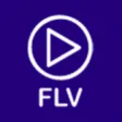 Icon of program: FLV Media Player for Wind…