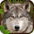 Icon of program: Wolf Simulator 3D Game
