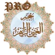Icon of program: Mojam al-Ghani (PRO)