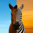 Icon of program: Pict Sort: Layered Puzzle