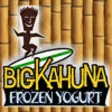 Icon of program: Big Kahuna Frozen Yogurt