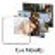 Icono de programa: Eva Mendes Windows 7 Them…