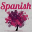 Icon of program: Learn Spanish With Cultur…