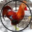 Icon of program: Chicken Shooter game of C…