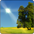 Icono de programa: True Weather LWP Free