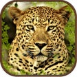 Icon of program: Extreme Wild Savanna Simu…