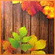 Icono de programa: Autumn Time Free LWP