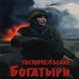 Icono de programa: Ukrainian Warfare: Gostom…