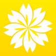 Icon of program: Vegetable and Fruit Carvi…