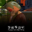 Icon of program: Name of the Will