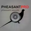 Icon of program: Pheasant Calls - Pheasant…
