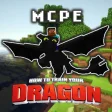 Icon of program: HTTYD Addon for MCPE