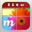 mosaiq lite icon