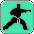 Icon of program: Learn Kung Fu Techniques